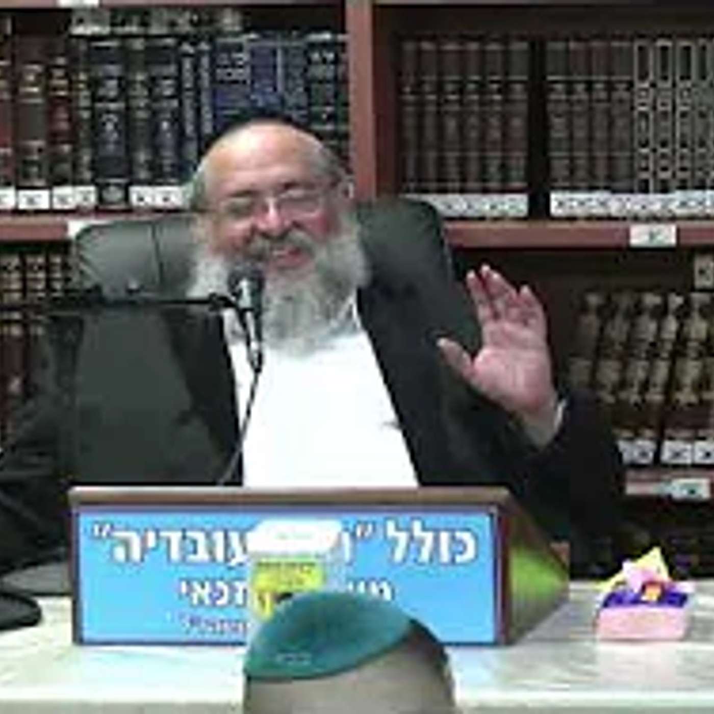 הרב חיים דוד אברגל :  פרשת יוסף ואחיו .