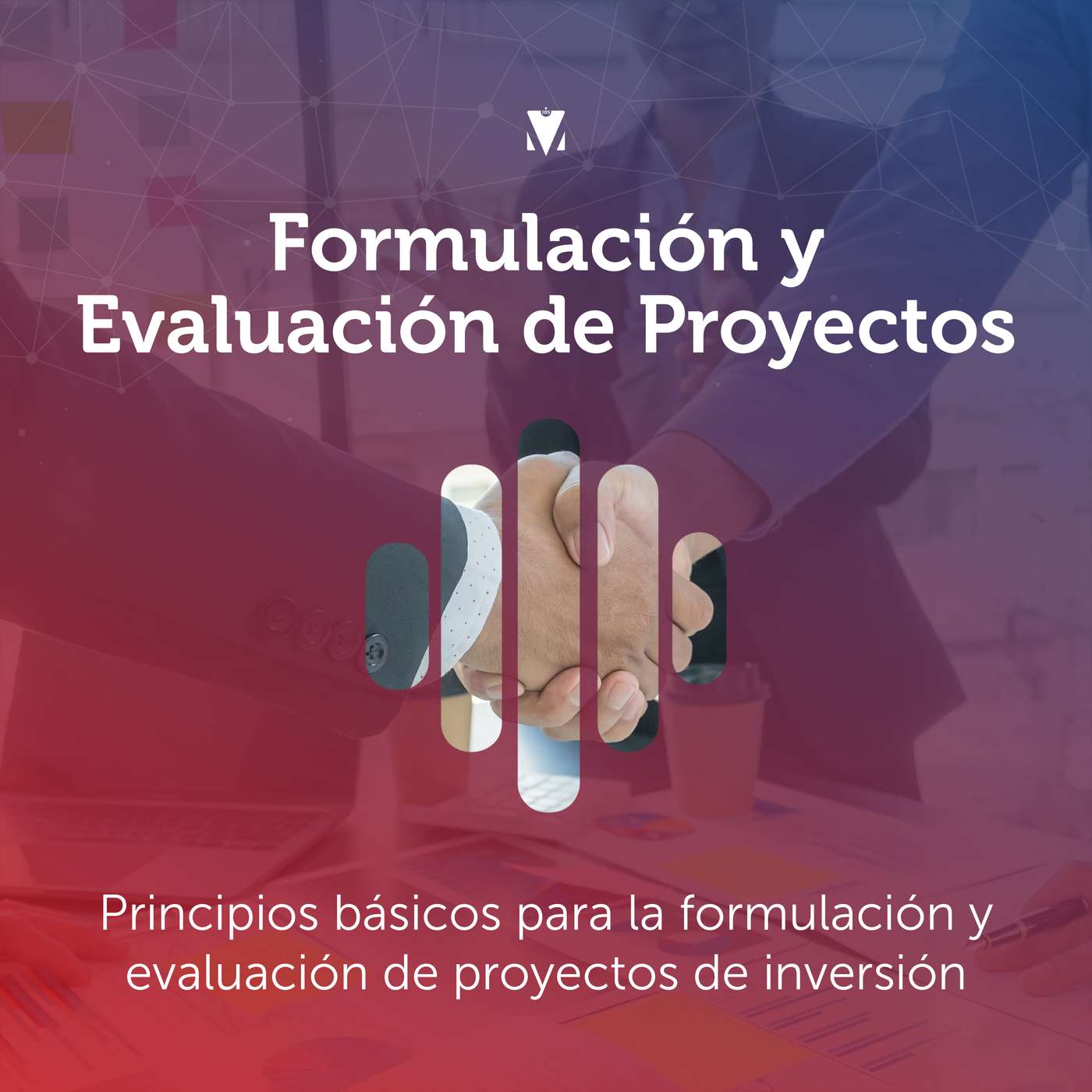 1 - FORMULACIÓN Y EVALUACIÓN DE PROYECTOS: Principios básicos para la formulación y evaluación de proyectos de inversión episode artwork