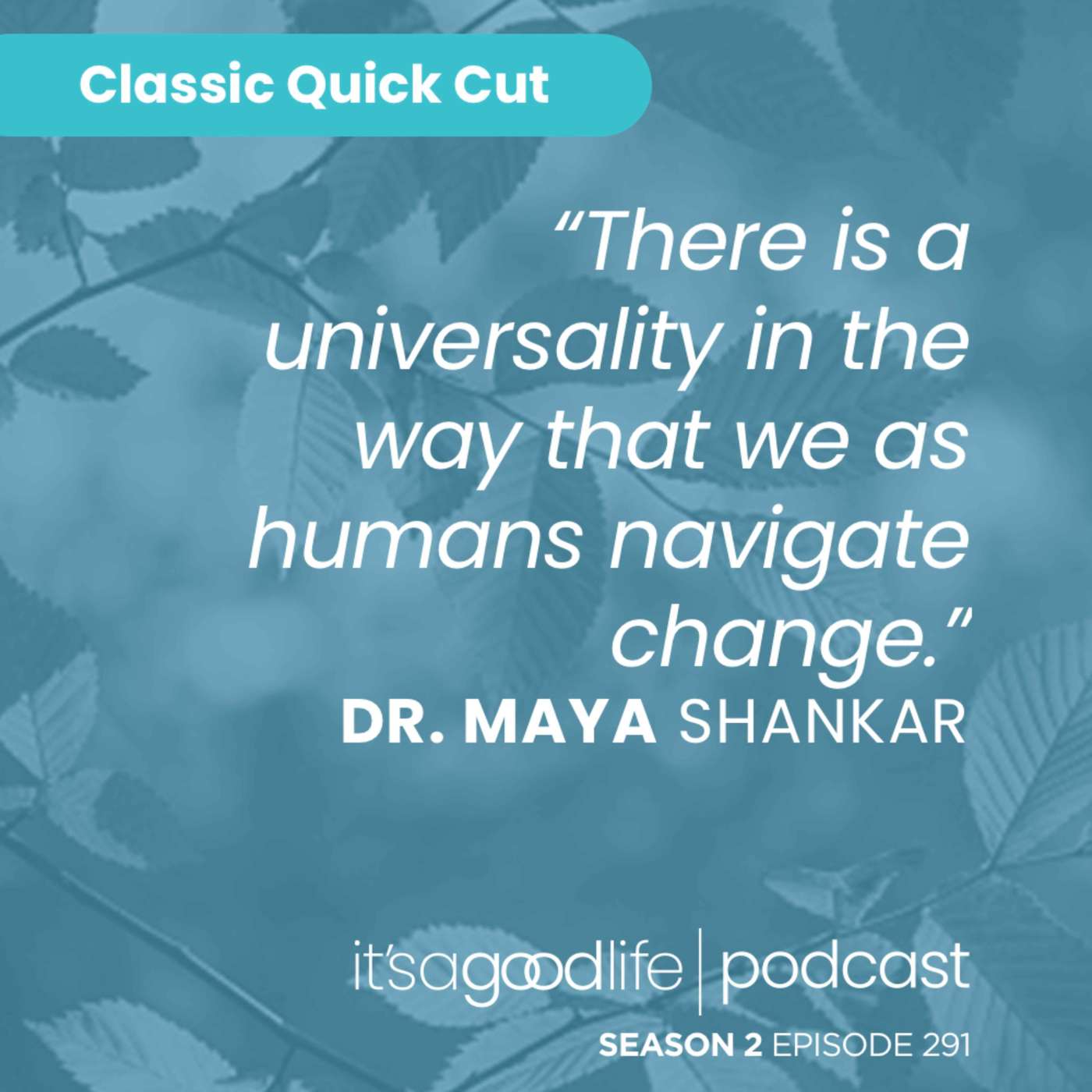 Quick Cut: S2E291 A Slight Change of Plans with Dr. Maya Shankar
