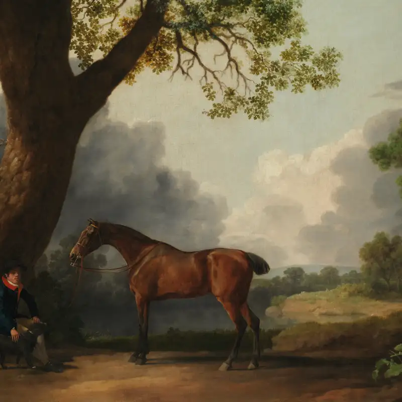 In Your Light Do We See Light