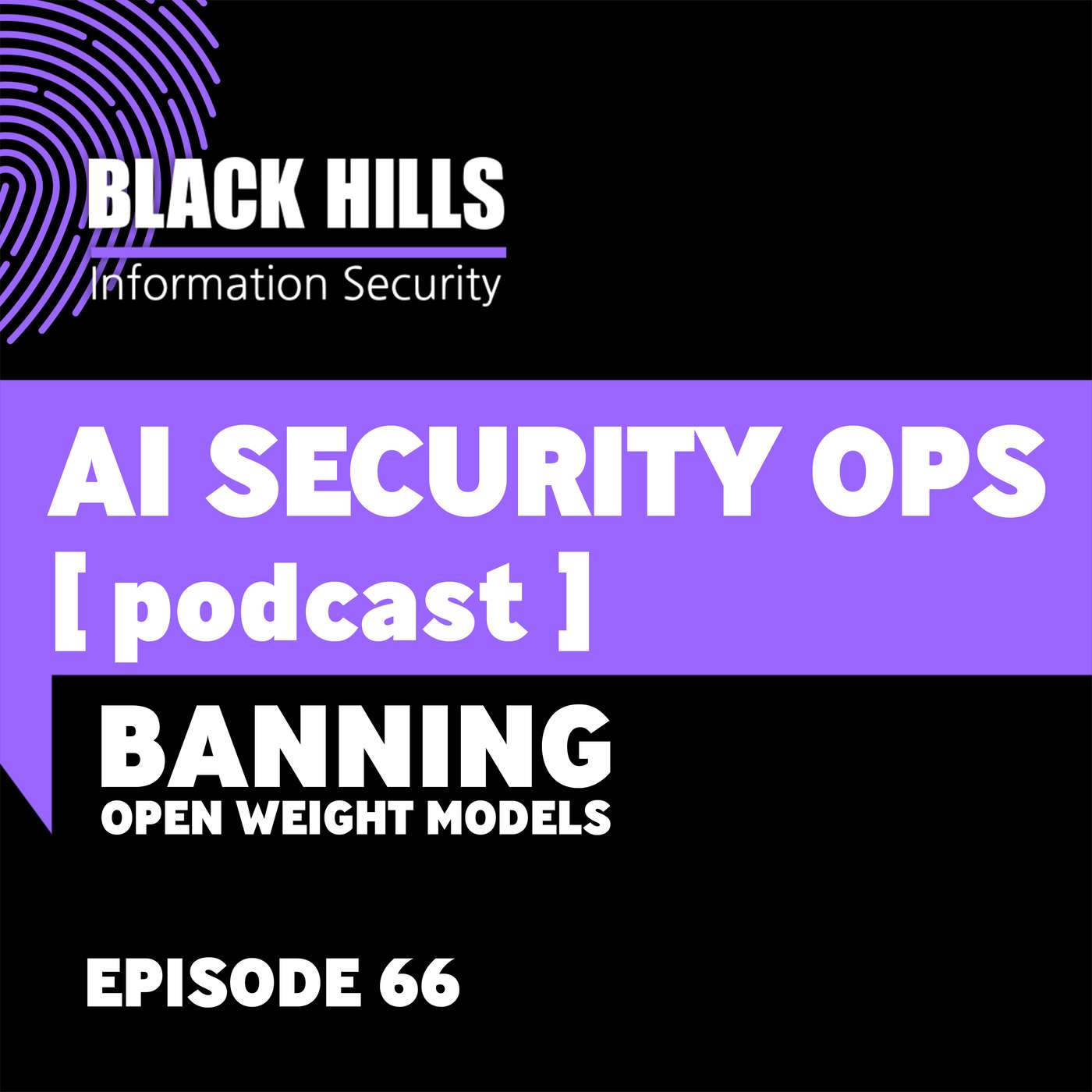Banning Open Weight Models | Episode 66 episode artwork