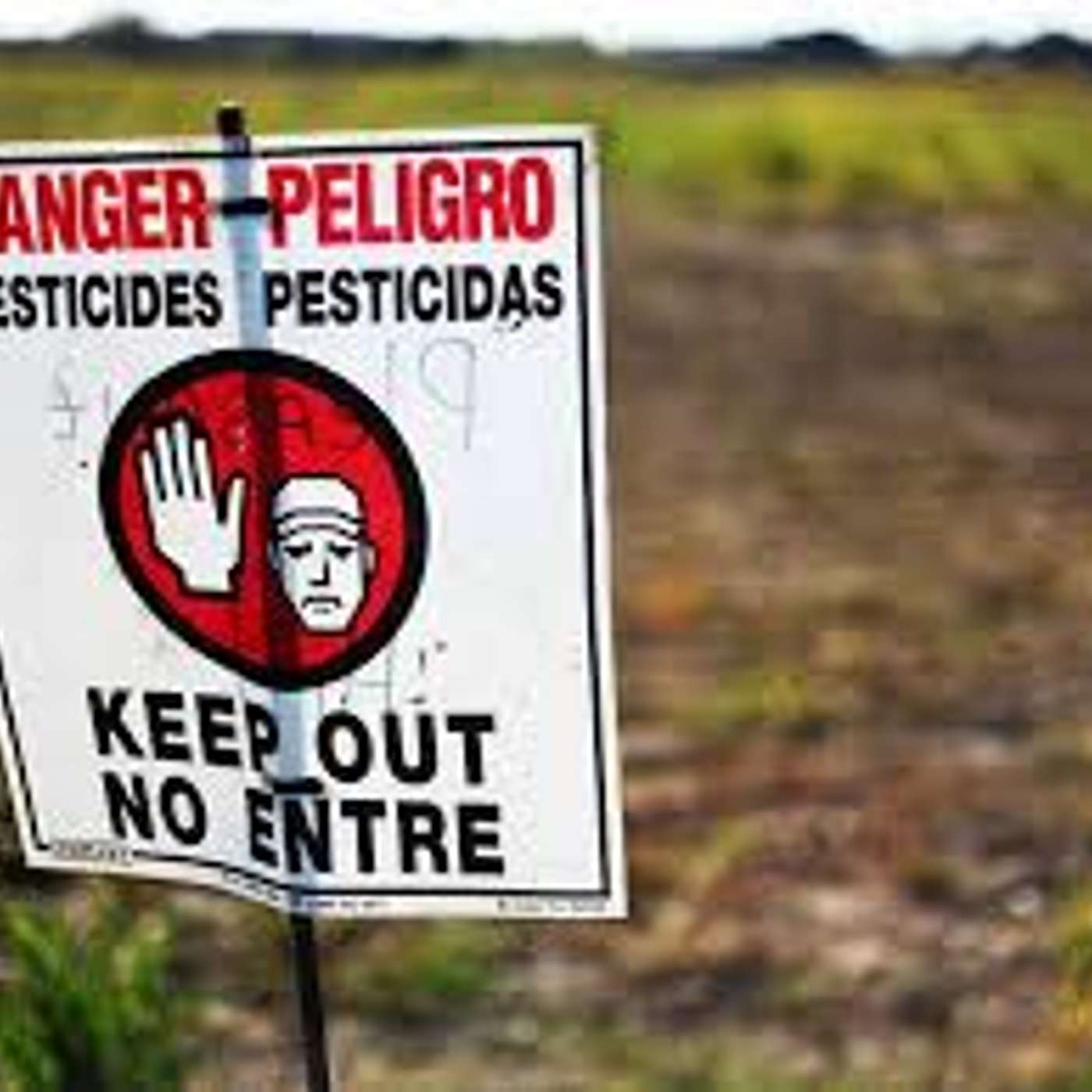 Protecting Our Environment from MAGA at the State Level