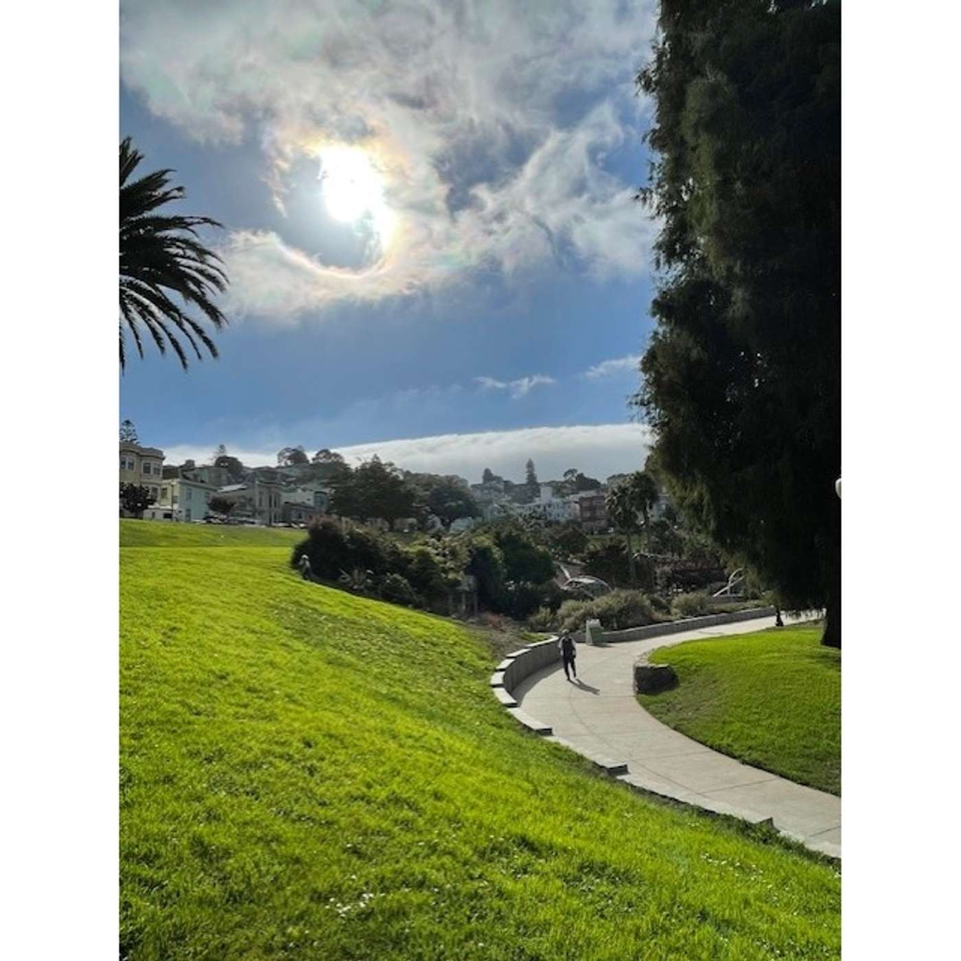 January 12, 2026 The Everything Show