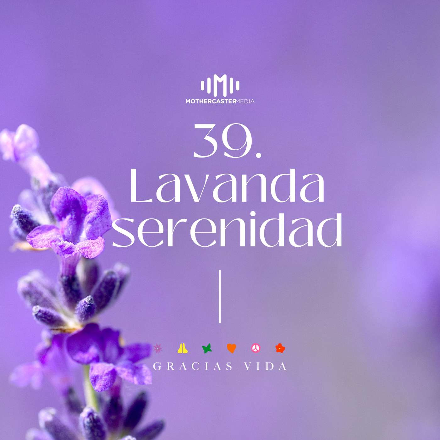 El sonido de los colores