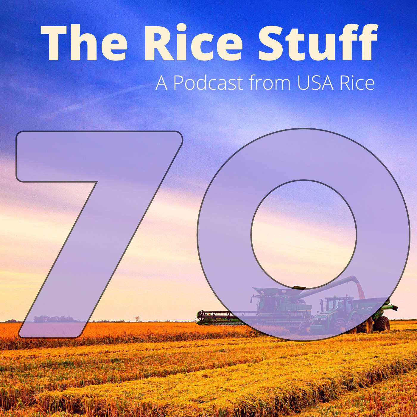 The Rice Stuff