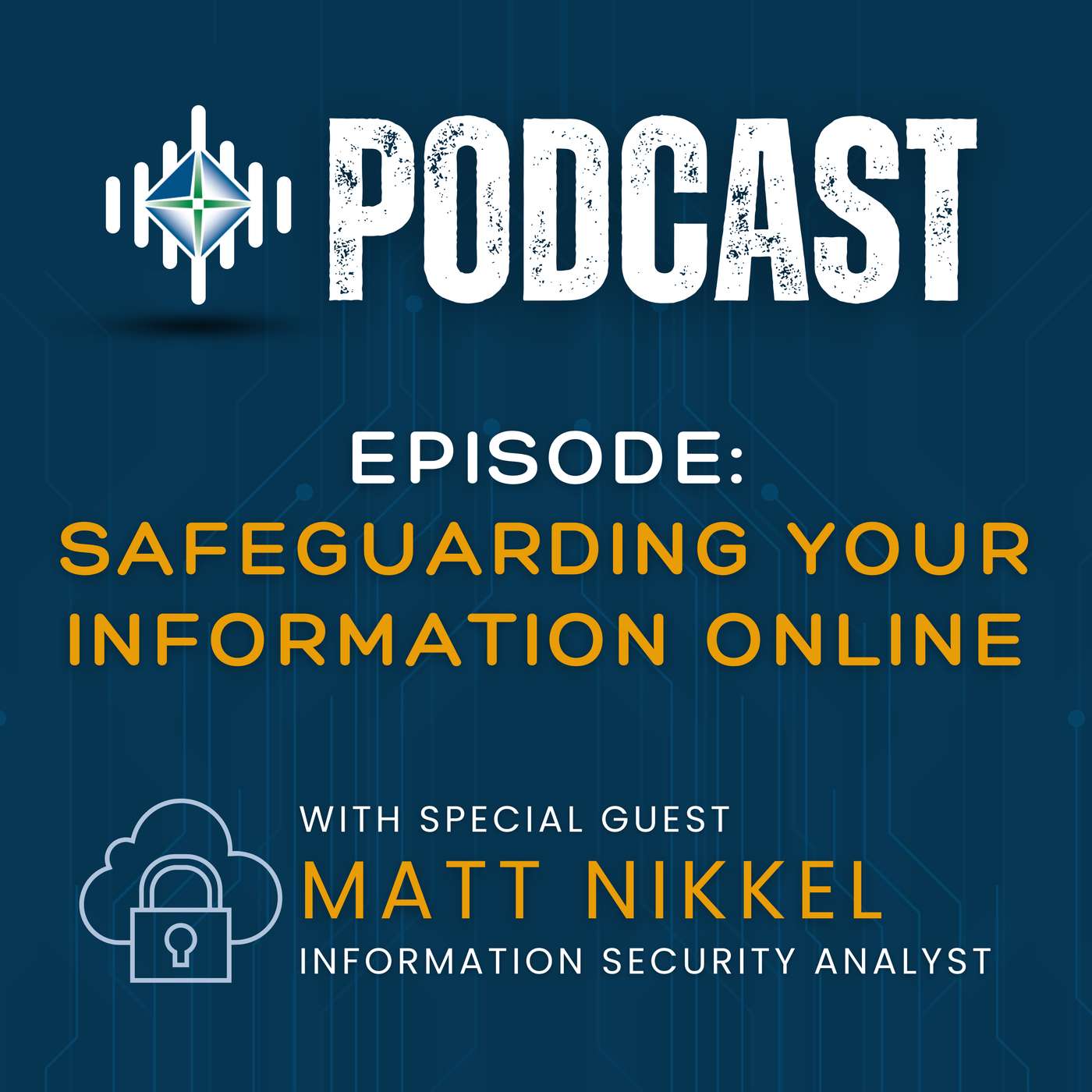 Safeguarding Your Information Online episode artwork