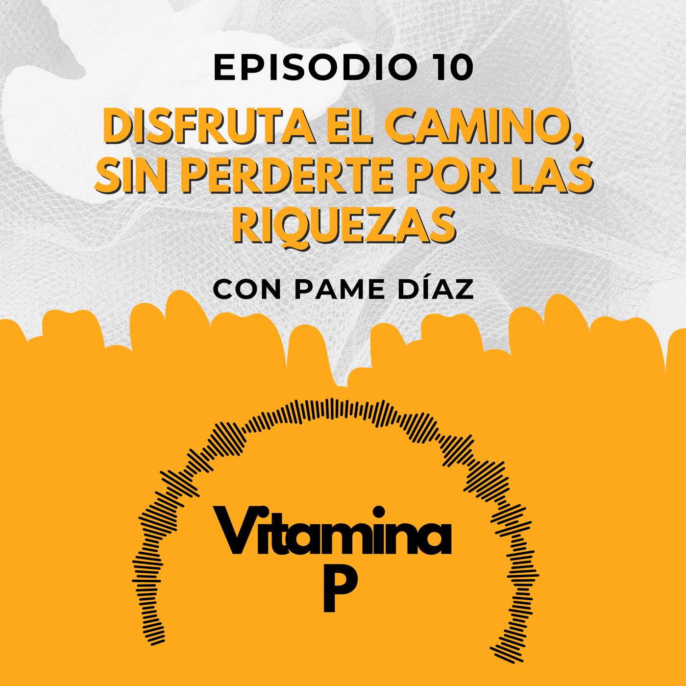 Portada de Vitamina P