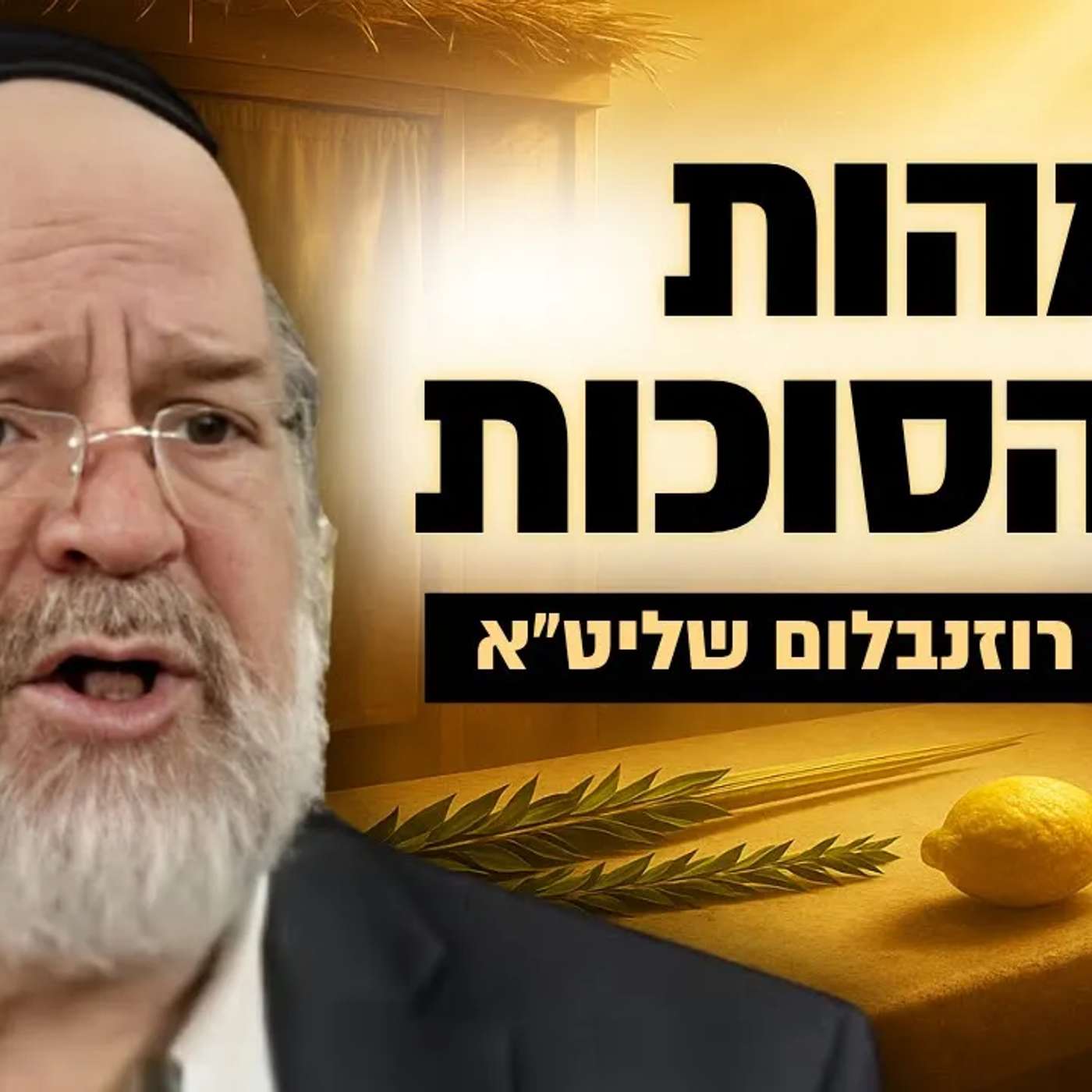 ופרוס עלינו סוכת שלומך - הרב ברוך רוזנבלום בהמחשה אדירה על חג הסוכות תשפ״ה !!