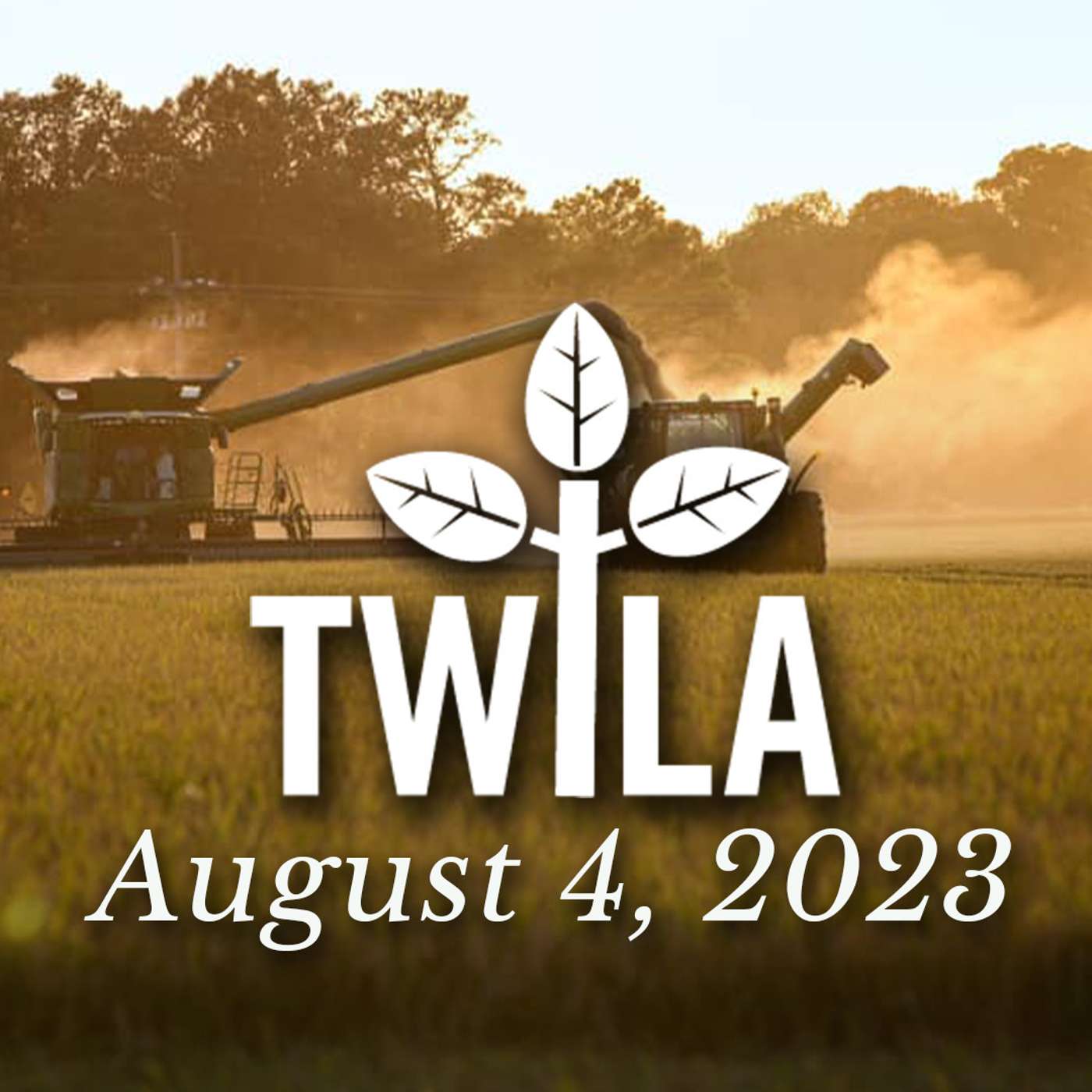 TWILA 8-4-23 episode artwork