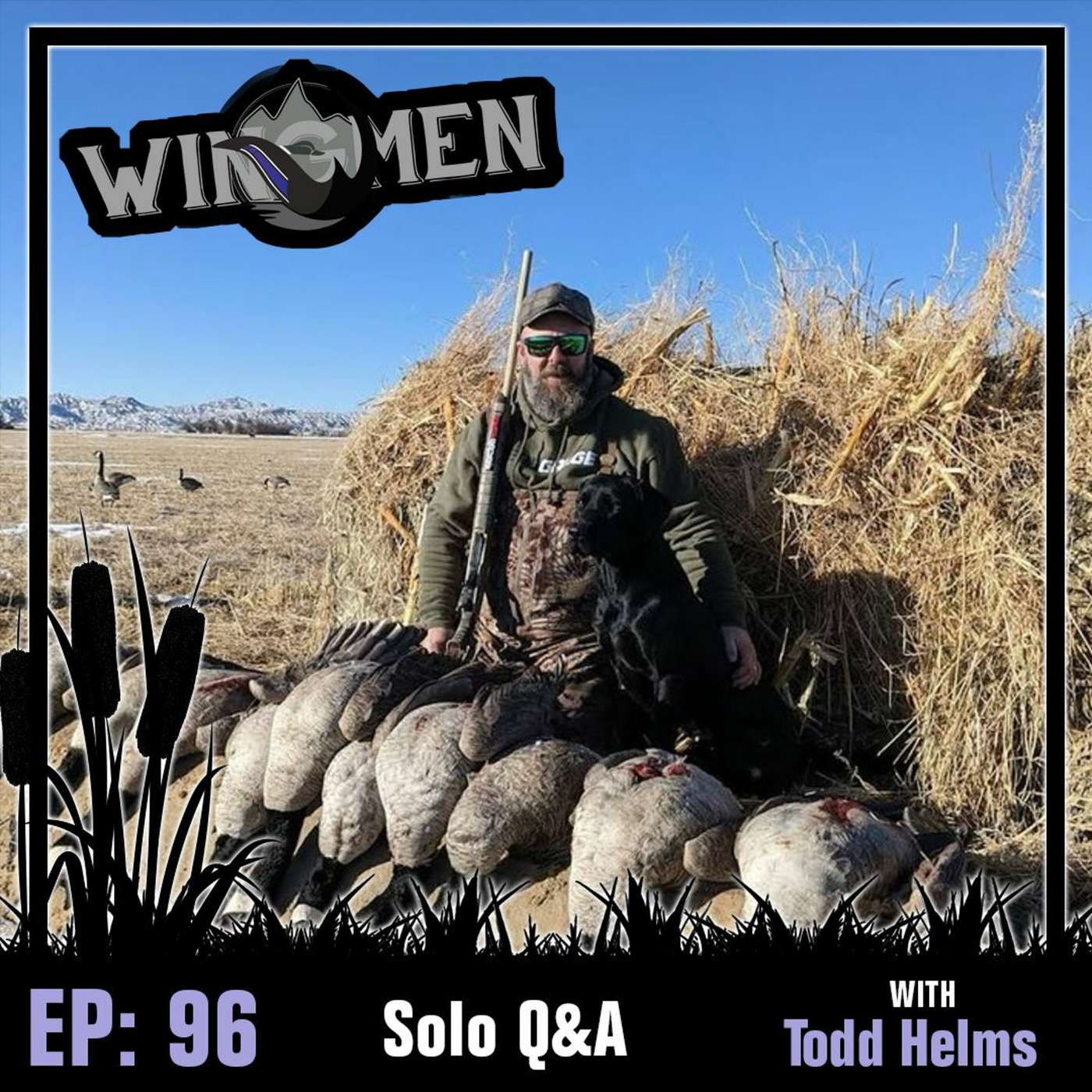 Wingmen Podcast EP 96: Solo Q&A episode artwork