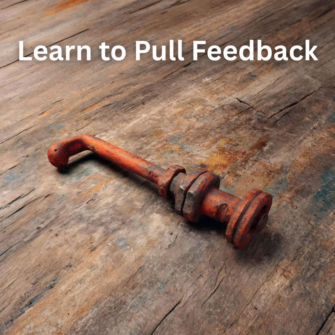 Day 21 – Learn to Pull Feedback episode artwork