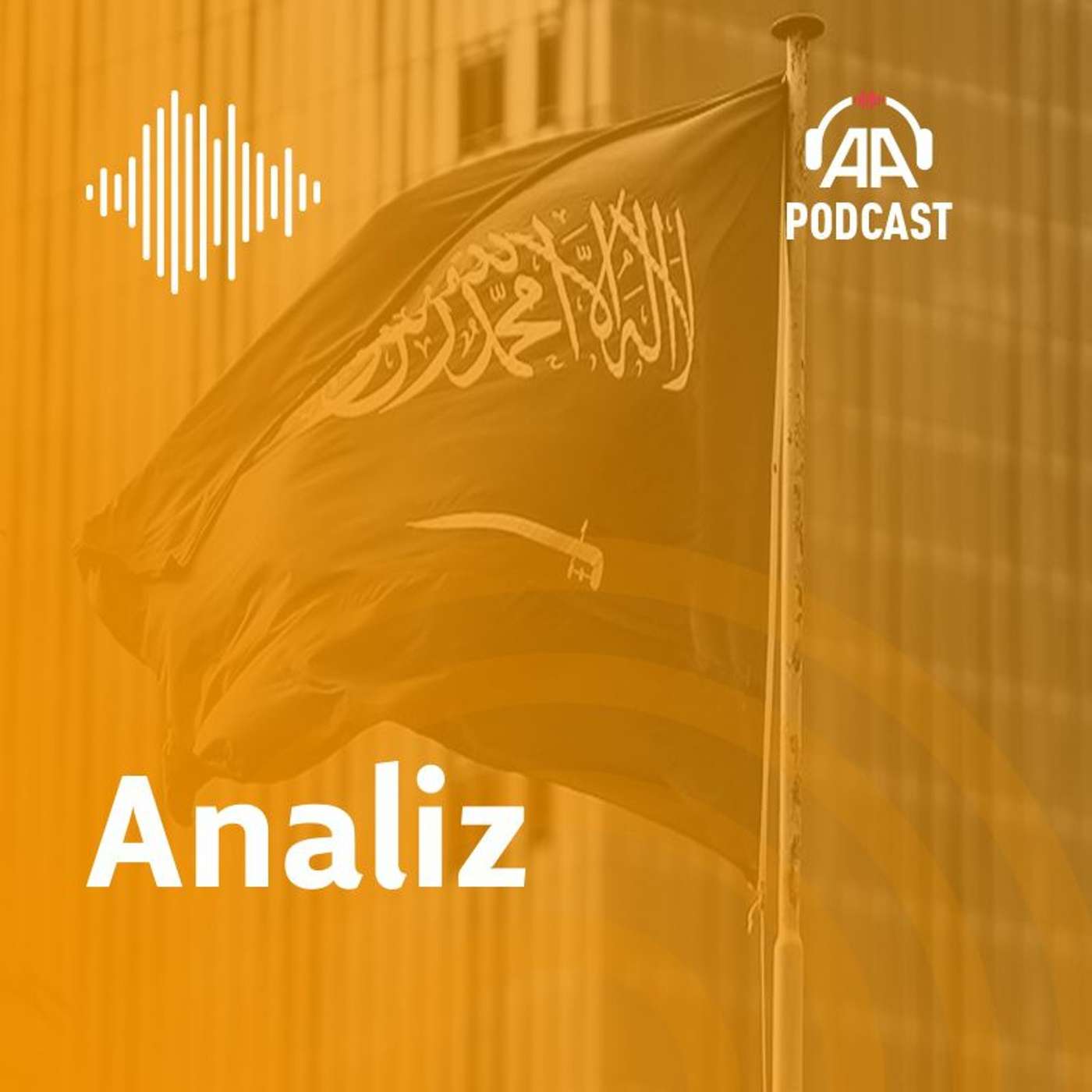 Analiz ve görüşler