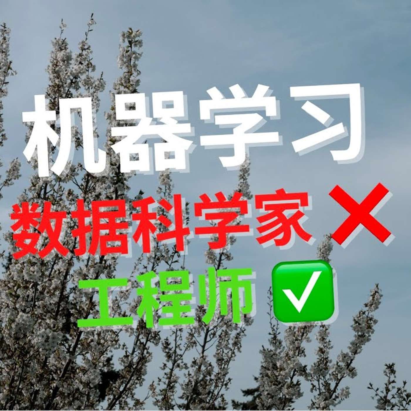 EP50_数据科学家真的适合机器学习吗？｜课代表讲数据第三期
