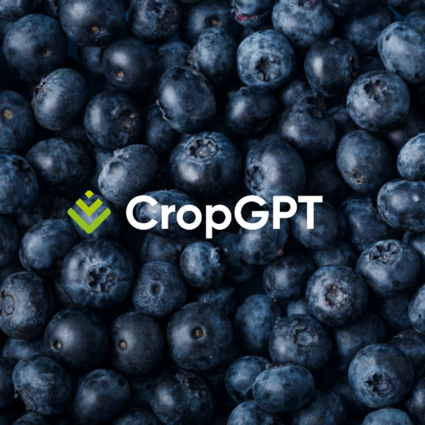 CropGPT - Fruits