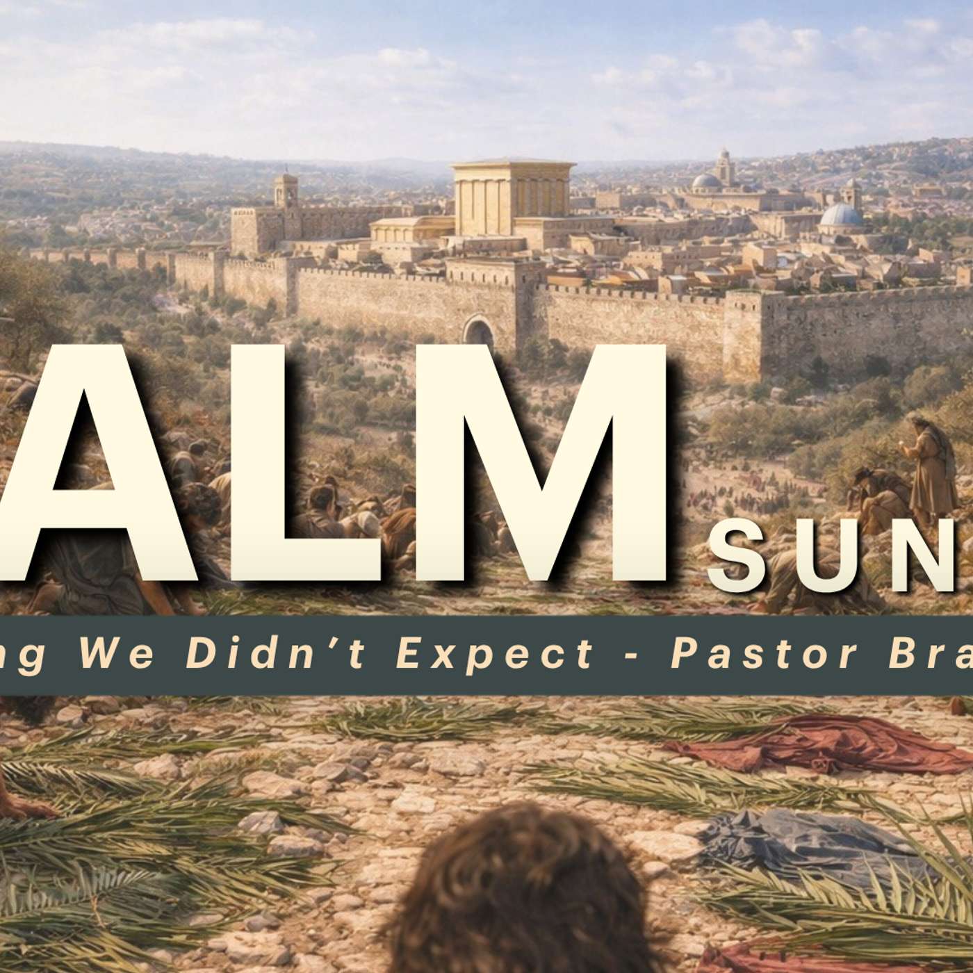 The King we Didn't Expect | Palm Sunday