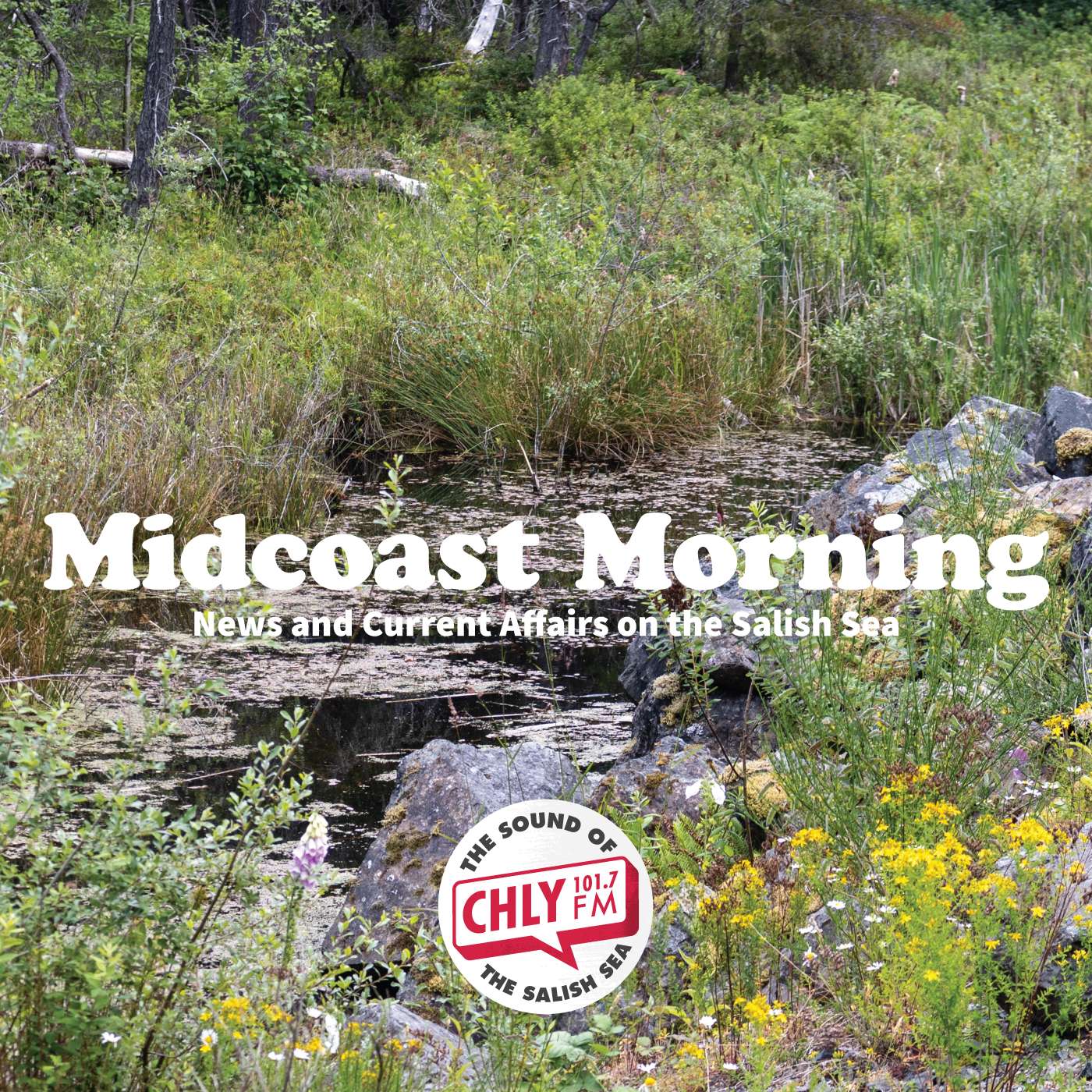 Talking about the systems that guide development near wetlands in B.C. episode artwork