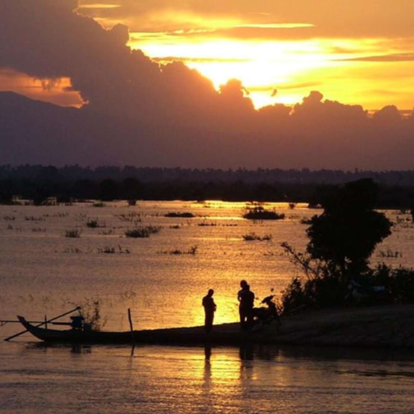 WWF Urges Action on Biodiversity, Study Reveals Healing Role of Senescent Cells, LOREX Unveils Solar Neutrino Secrets, Greenland Glacial Flood Disrupts Climate, and more...