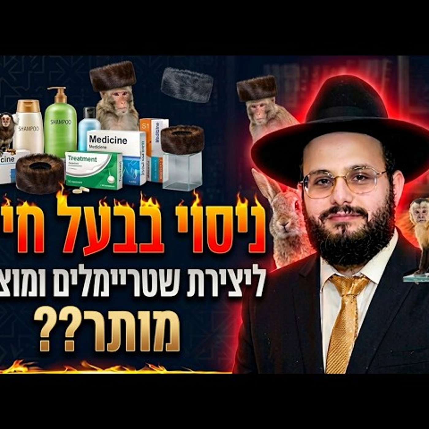 דרמה נסוי בבעל חיים ליצירת שטריימלים ומוצרים מותר על פי התורה? הרב אברהם מימון שליט"א episode artwork