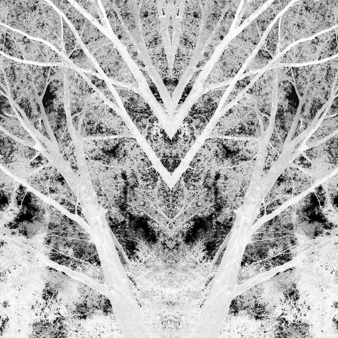 Spoken Signal Podcast: Hidden Folk episode artwork