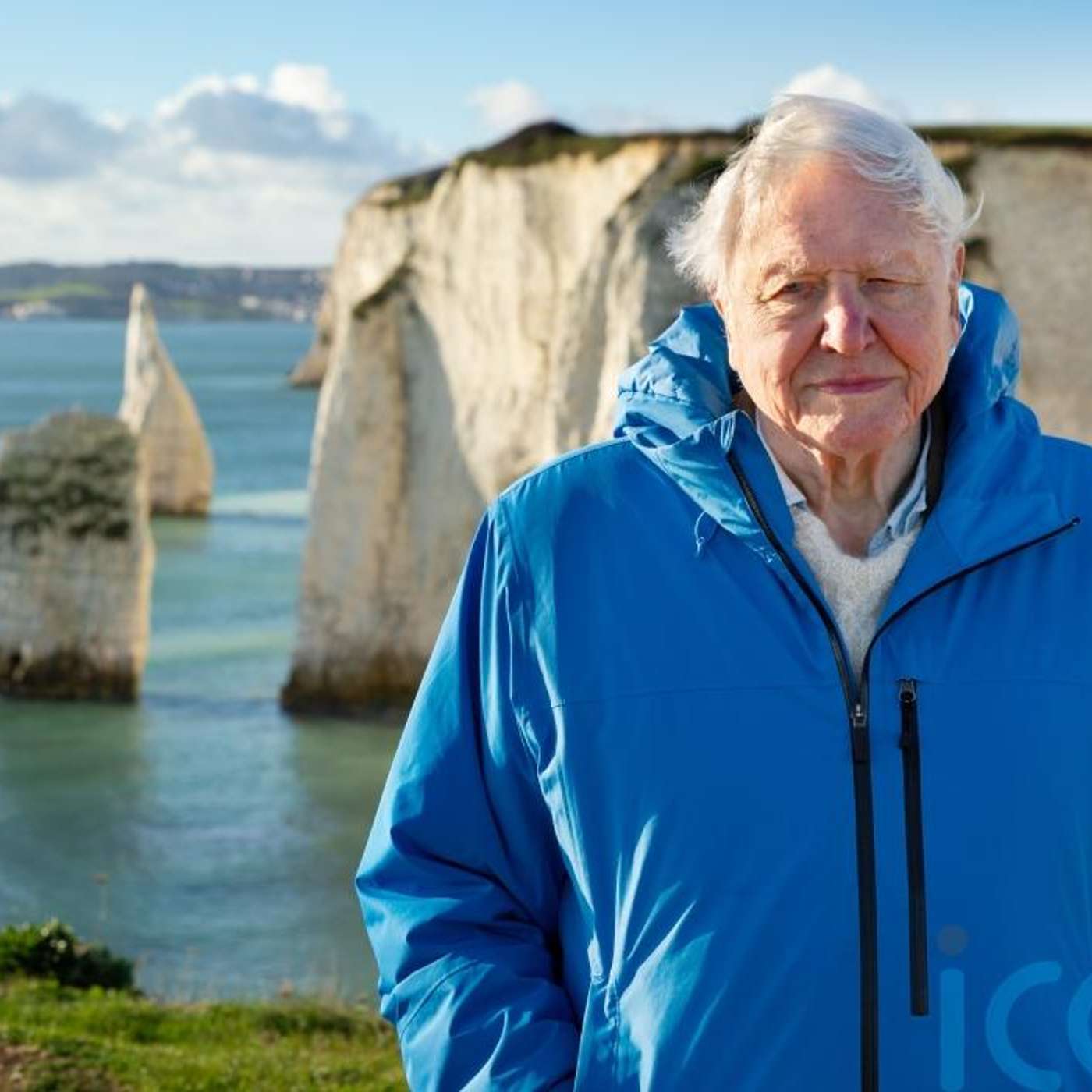 Attenborough's Ocean Combines Film and Music, Young Adults Urged to Claim Funds, UK Bans VAT on Private Healthcare, MultiVehicle Crash Blocks M6, and more... episode artwork