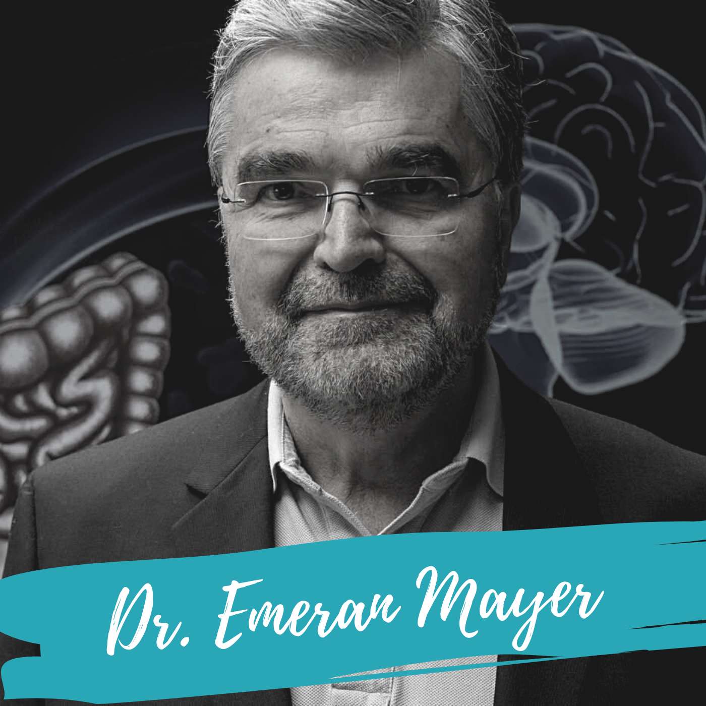 The Gut-Immune Connection - With Dr. Emeran Mayer episode artwork