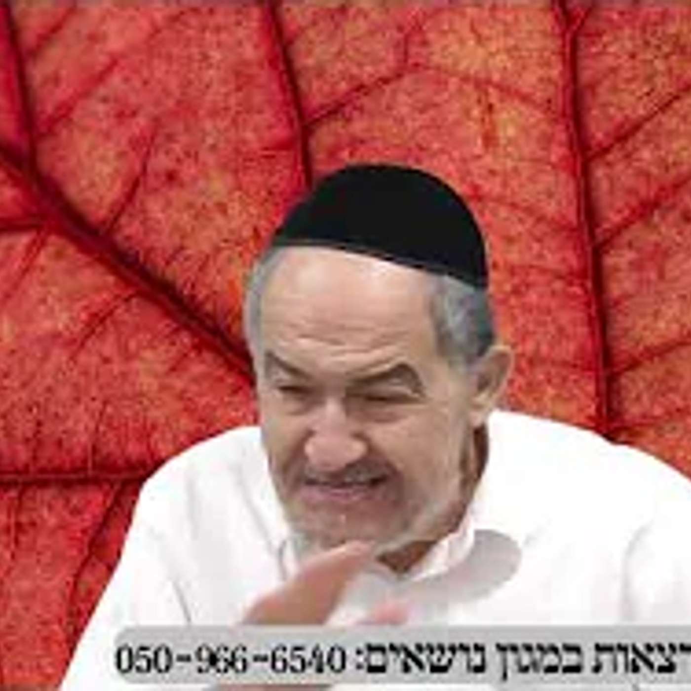 שיחה על עניינים בפרשת ניצבים תשפה במרוקאית