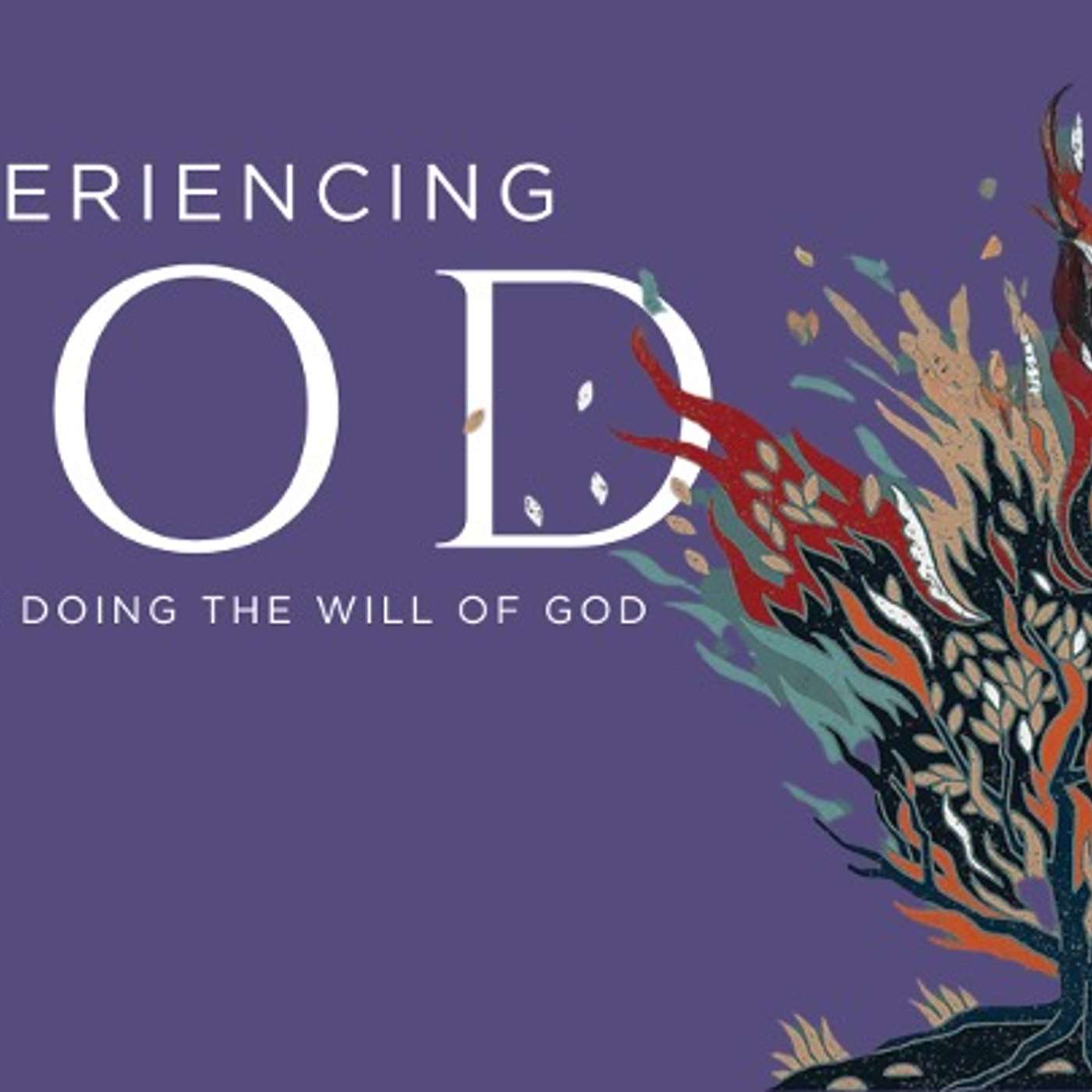 Experiencing God : God Pursues Us (5/11/25) episode artwork