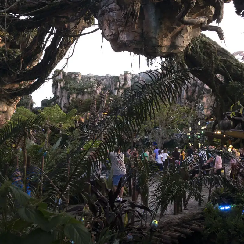 Episode 125: Discovering Animal Kingdom Pandora