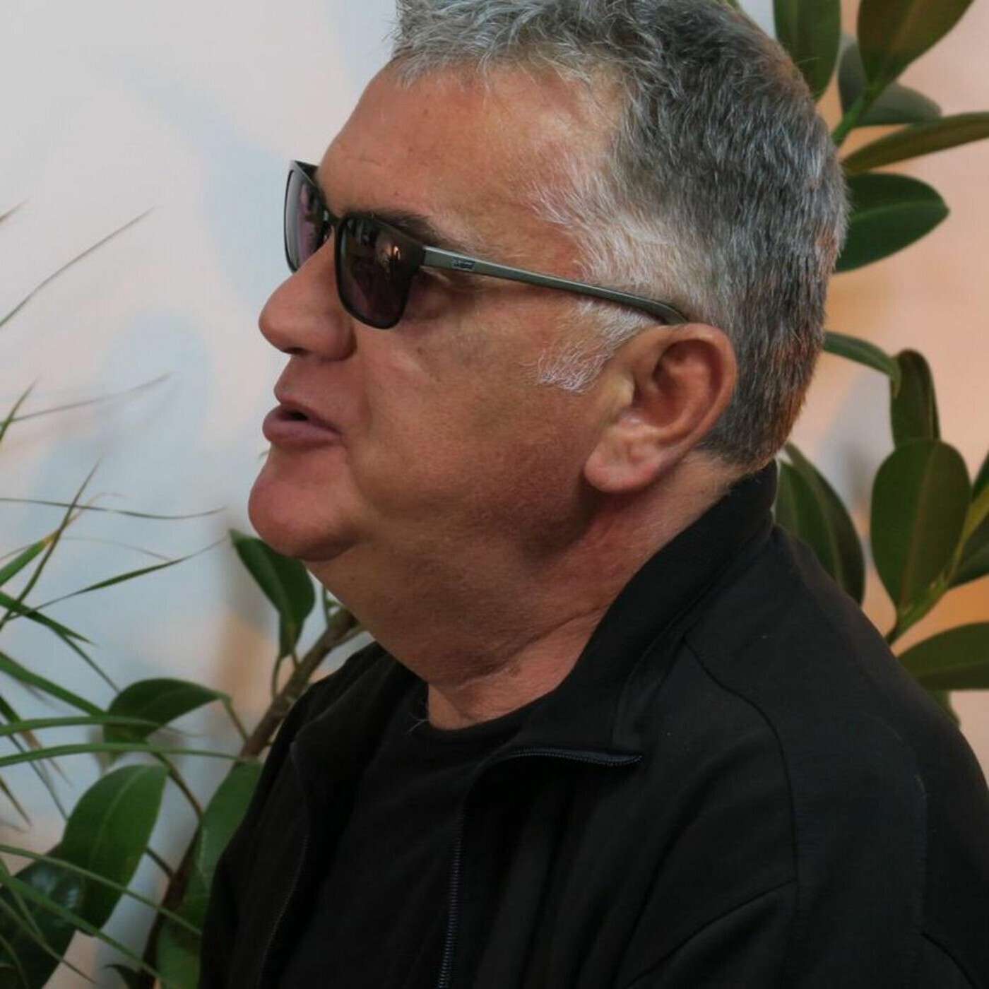 Podcast 043: Zoran Kostić — Cane