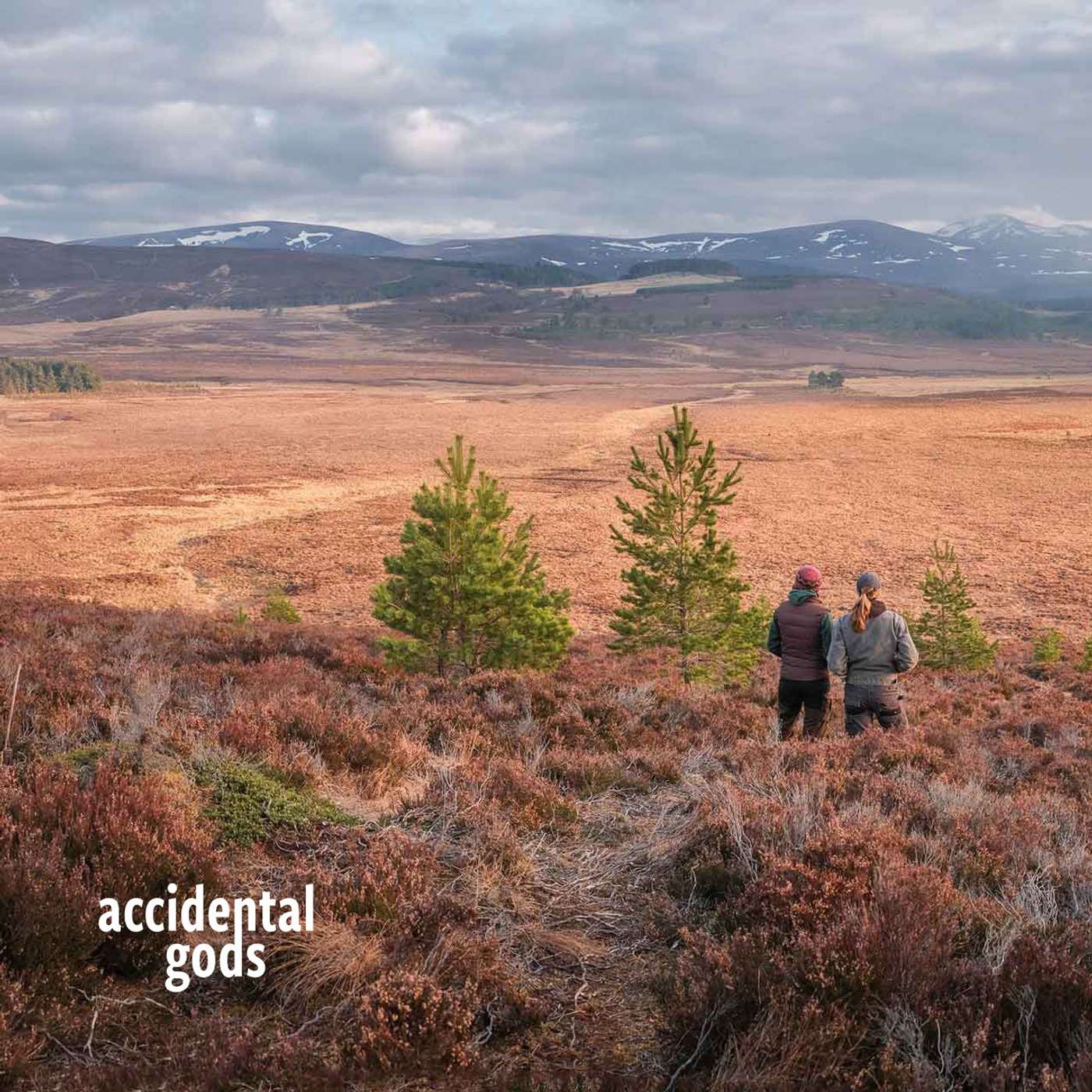 A Wild Farming Life: Building a regenerative croft from scratch with Lynn Cassells