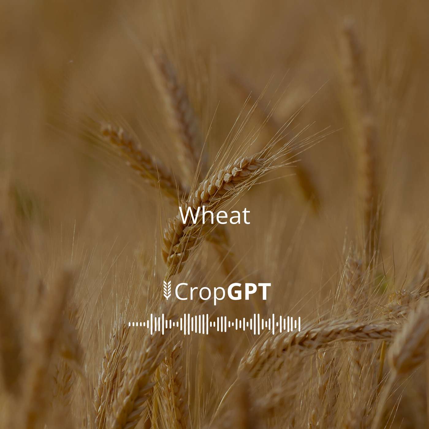 CropGPT - Grains