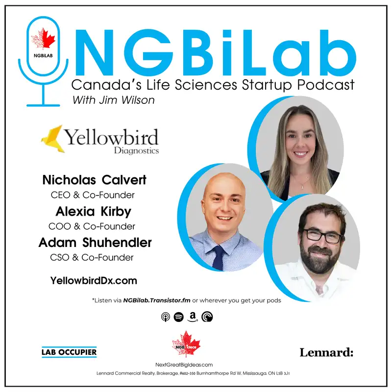 S2.E7: YellowBird Diagnostic