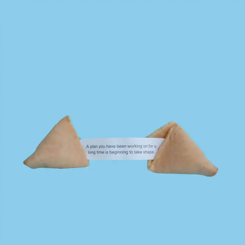 Success: o que é o sucesso para você?