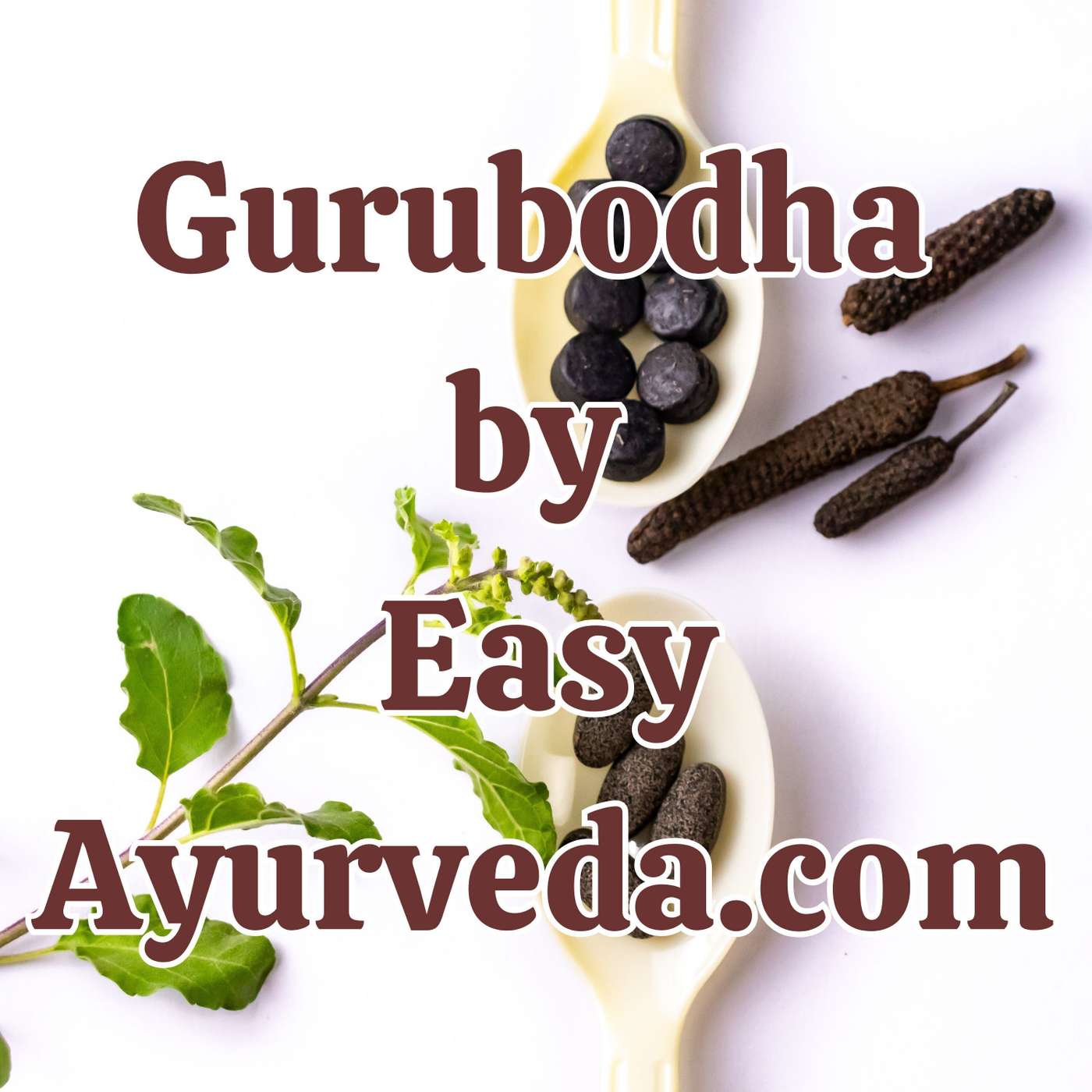 Gurubodha 103: Kanchanara Guggulu Ingredients, Benefits | Kanchanara Guggulu in wounds and goitre episode artwork