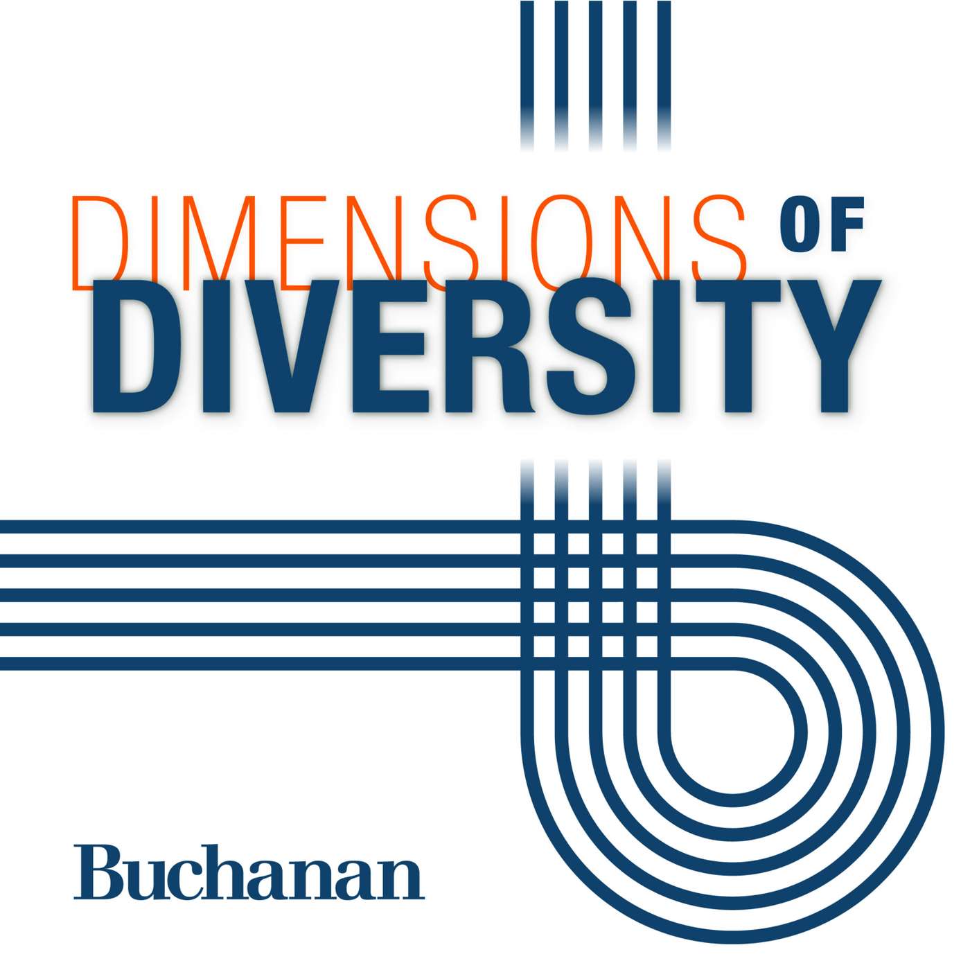 Dimensions of Diversity