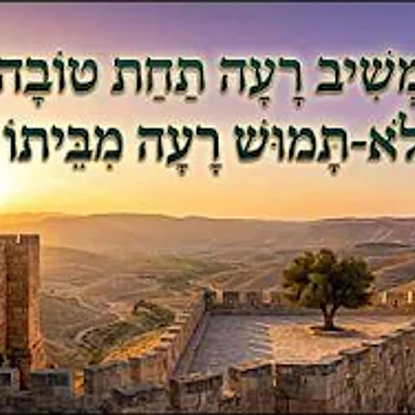 "משיב רעה תחת טובה" - הסכנה שבכפיות טובה | הרב יאיר זמר טוב episode artwork