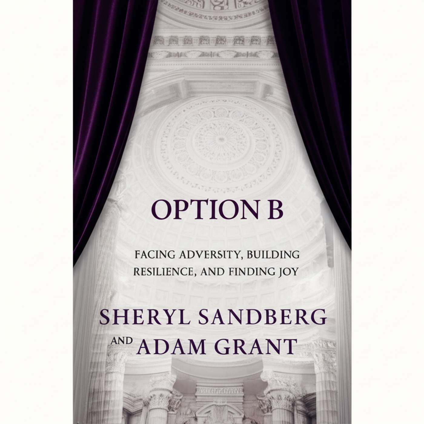 Option B: Facing Adversity, Building Resilience, and Finding Joy