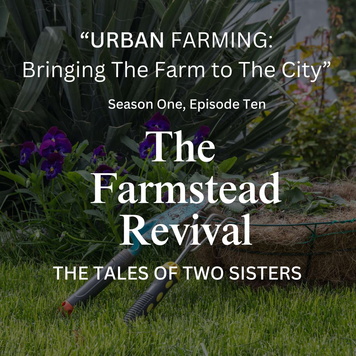 Episode #10 Urban Farming: Bringing The Farm To The City episode artwork