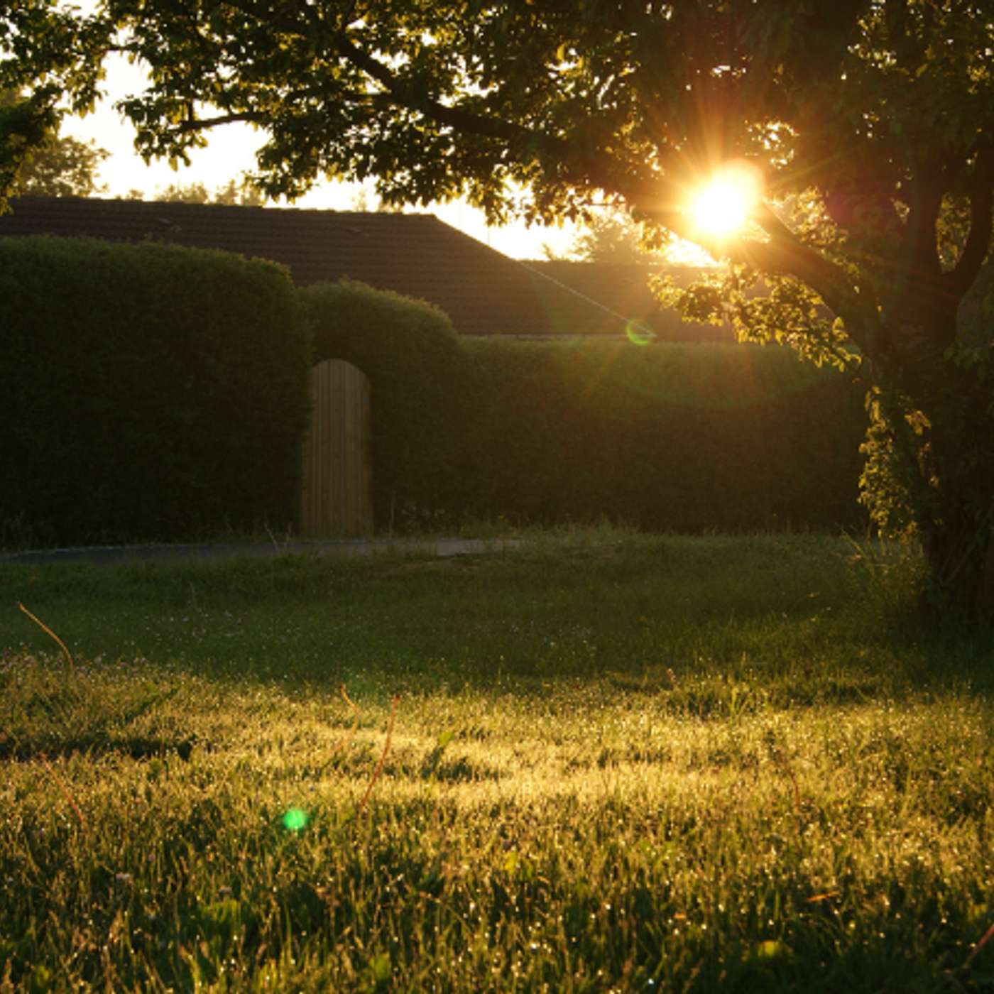 Karmels Hage – Trosbekjennelsen 29: Omvendelse og hellighet – Saligprisningene i pave Frans’ apostoliske eksortasjon Gaudete et exsultate