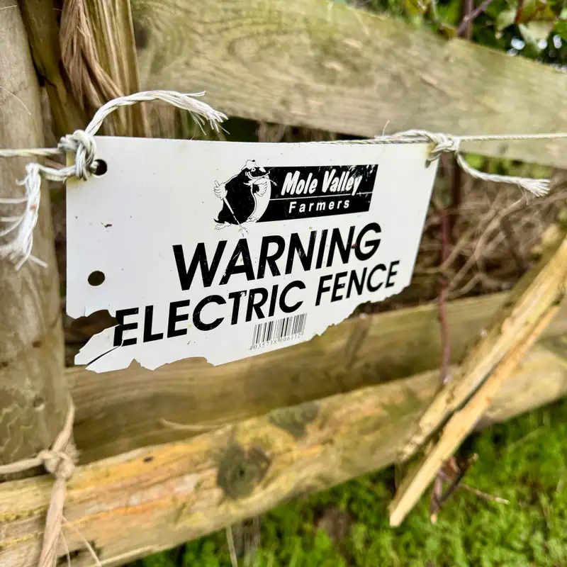 What Are We Becoming?