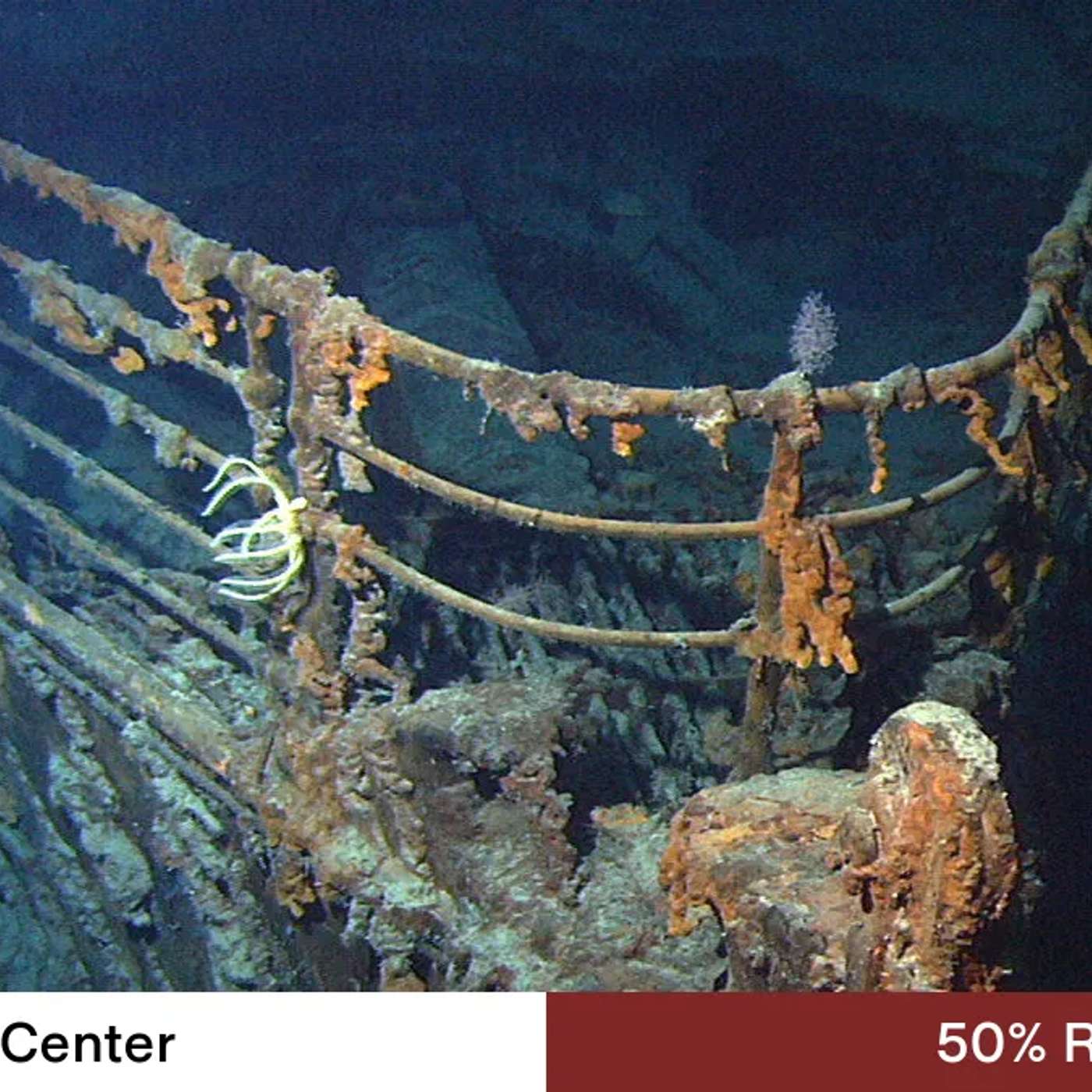 Titanic Expedition Reveals Decay, Great White Eats Pregnant Shark, Study Reveals Gold Nugget Mechanism, Thailand Fights Invasive Tilapia Crisis, and more...