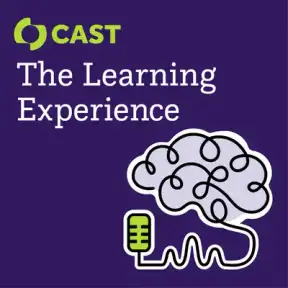 The Learning Experience