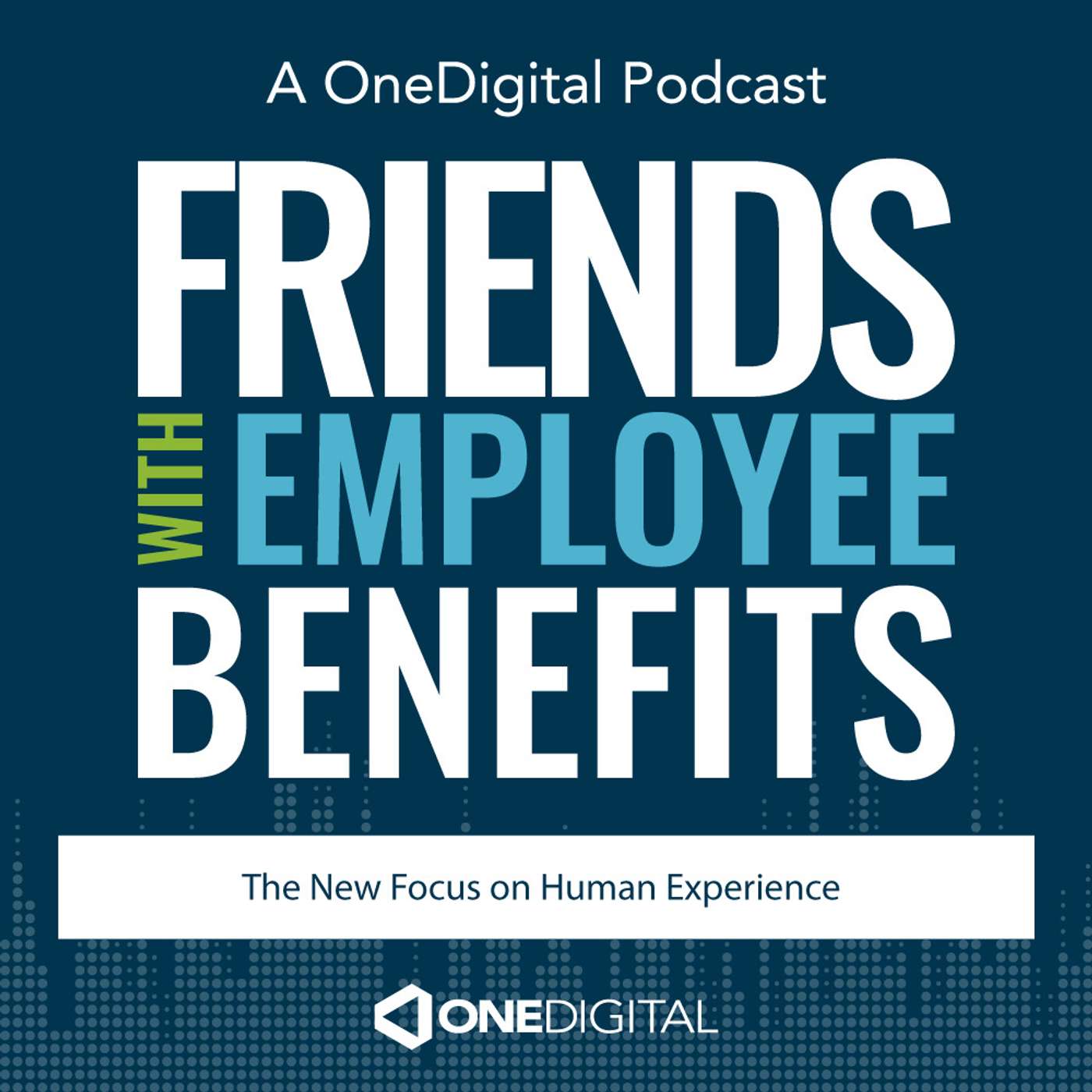 The New Focus on Human Experience episode artwork