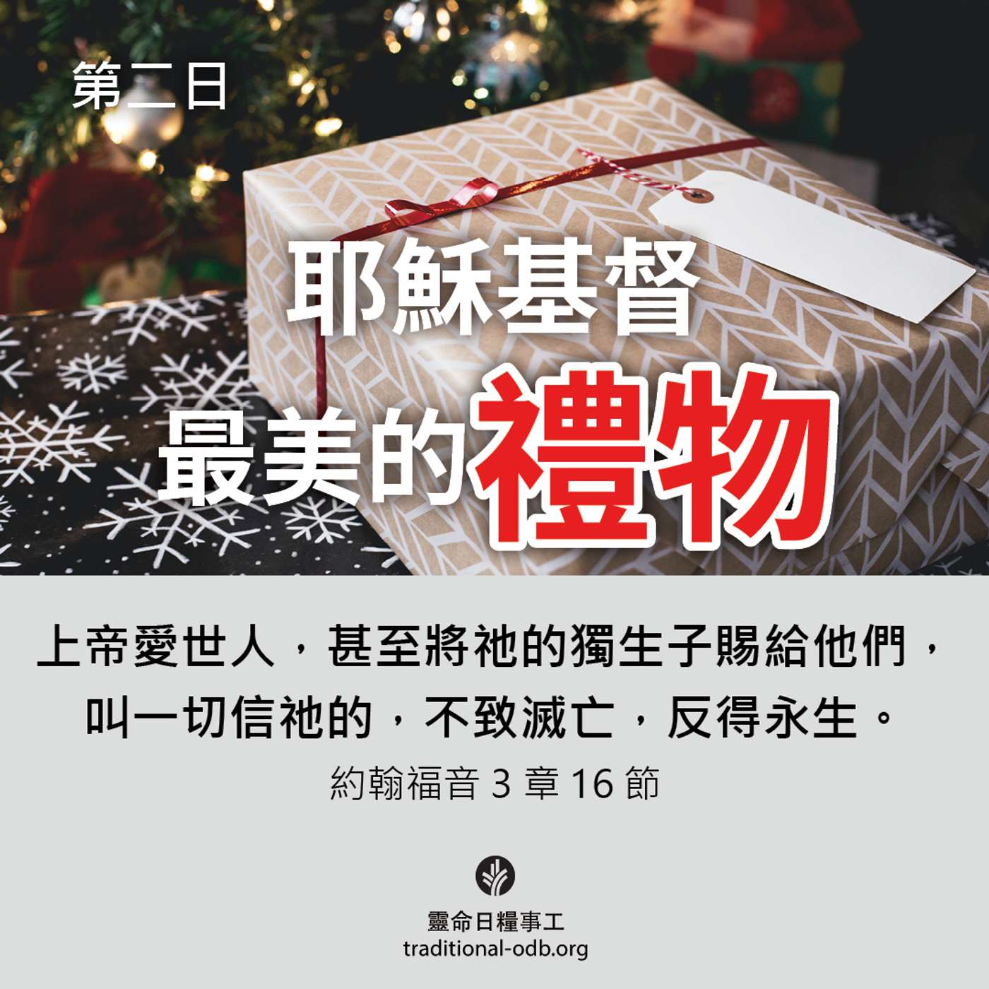 將臨期12天靈修計劃-《聖善夜》第2日 新生王