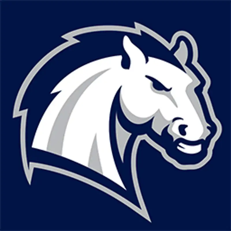 Women's Basketball: Hillsdale vs. Cedarville, 03/04/25