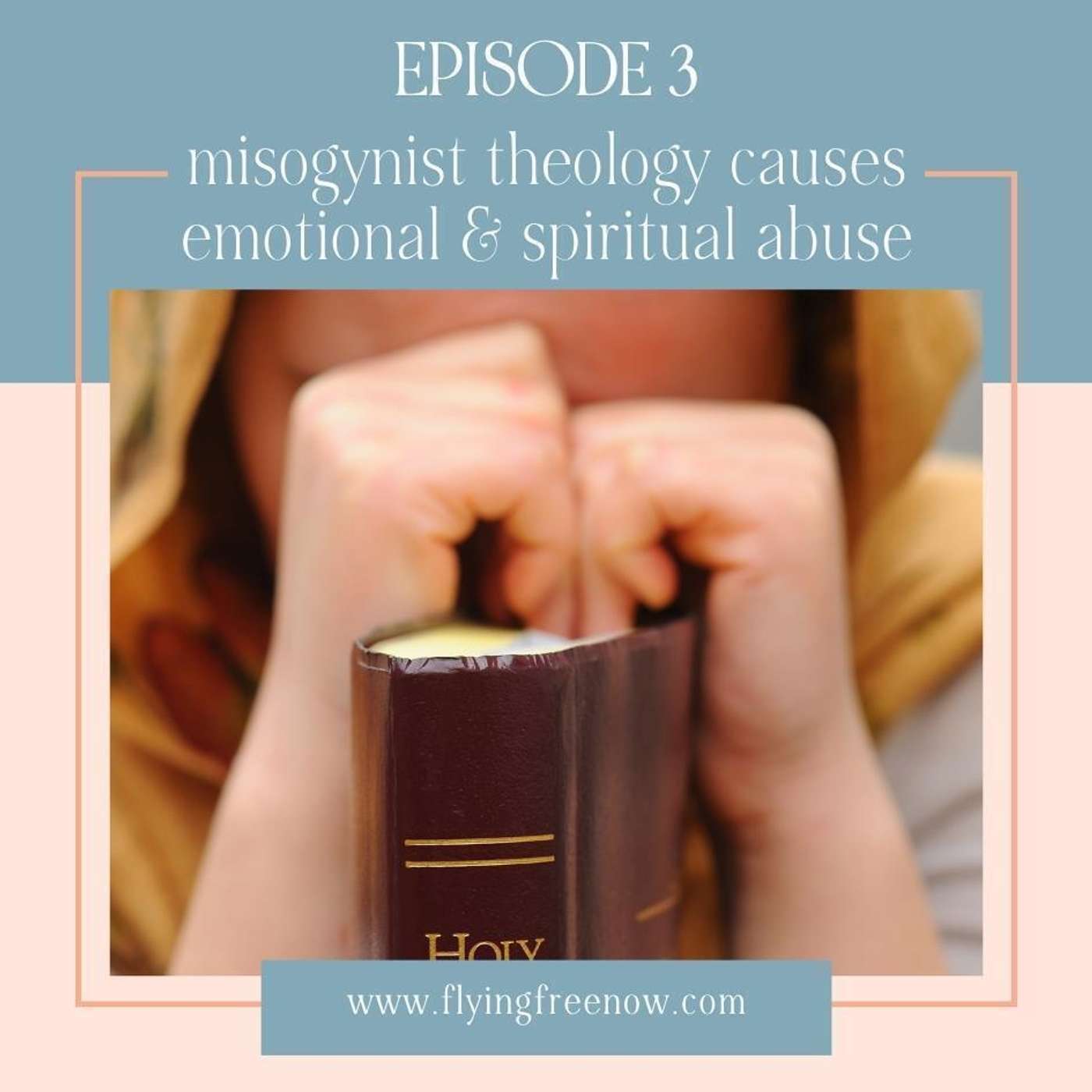 Misogynist Theology Causes Emotional and Spiritual Abuse in Homes and Churches [3]