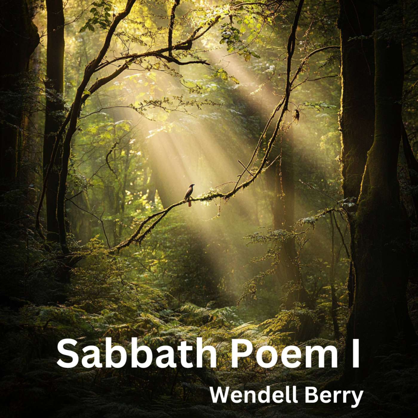 Day 46 - Sabbath Poem I episode artwork