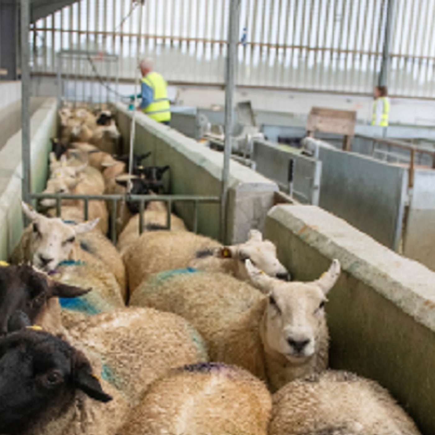 February Management Notes February Management Notes