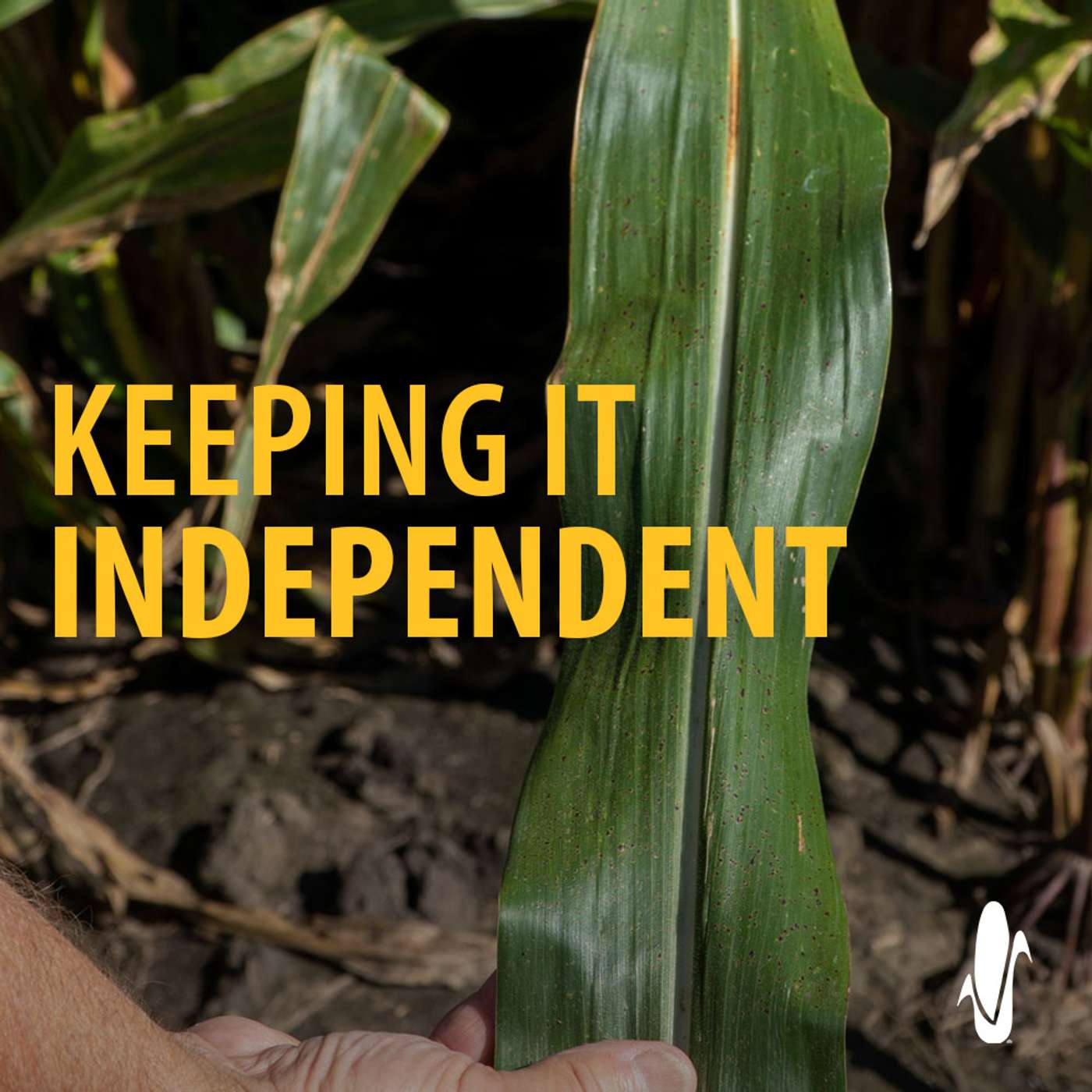 Protecting Yield Potential & Our First Listener Question episode artwork