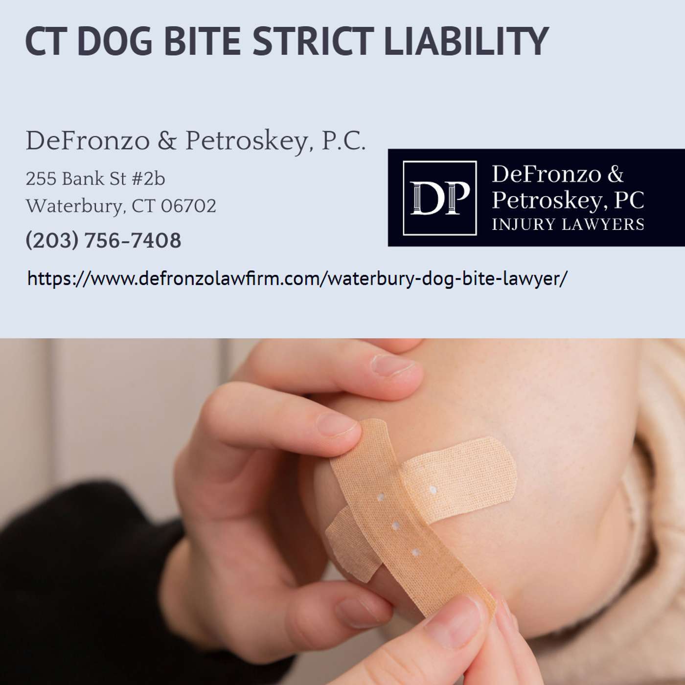 Waterbury Dog Bite Lawyer - Dan Petroskey episode artwork